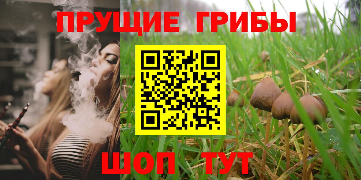 Горячий Ключ  Галлюциногенные грибы прущие грибы  Вход с VPN 