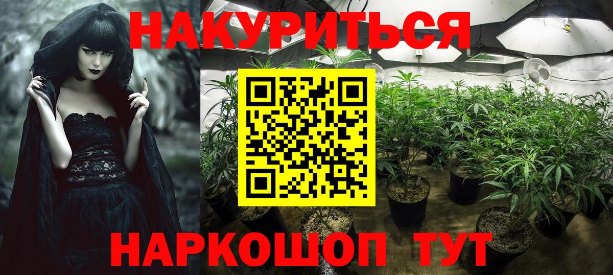 Горячий Ключ  МАРИХУАНА White Widow  Шишки марихуана сатива  Вход с VPN  Шишки марихуана гибрид 